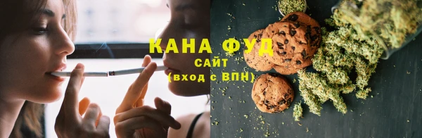 шишки Горняк