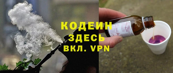 шишки Горняк
