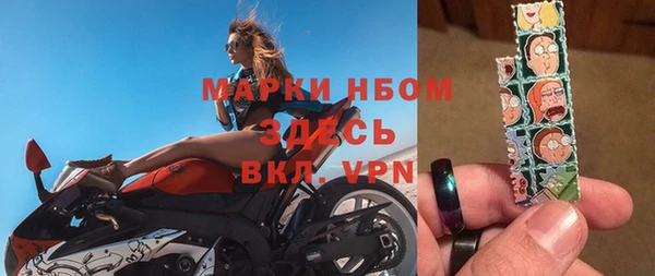 шишки Горняк