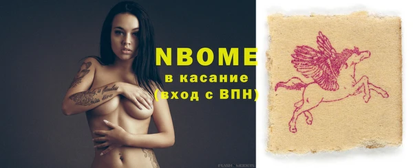 шишки Горняк