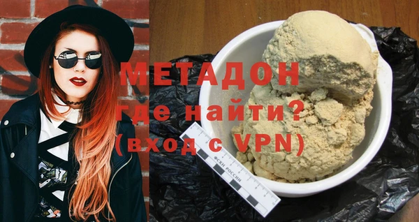 шишки Горняк