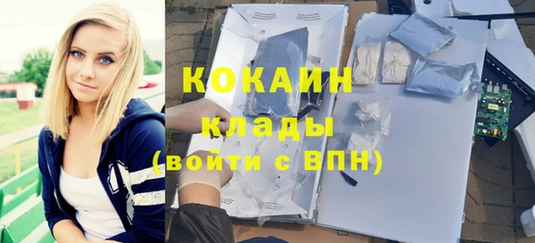 шишки Горняк