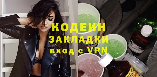 шишки Горняк