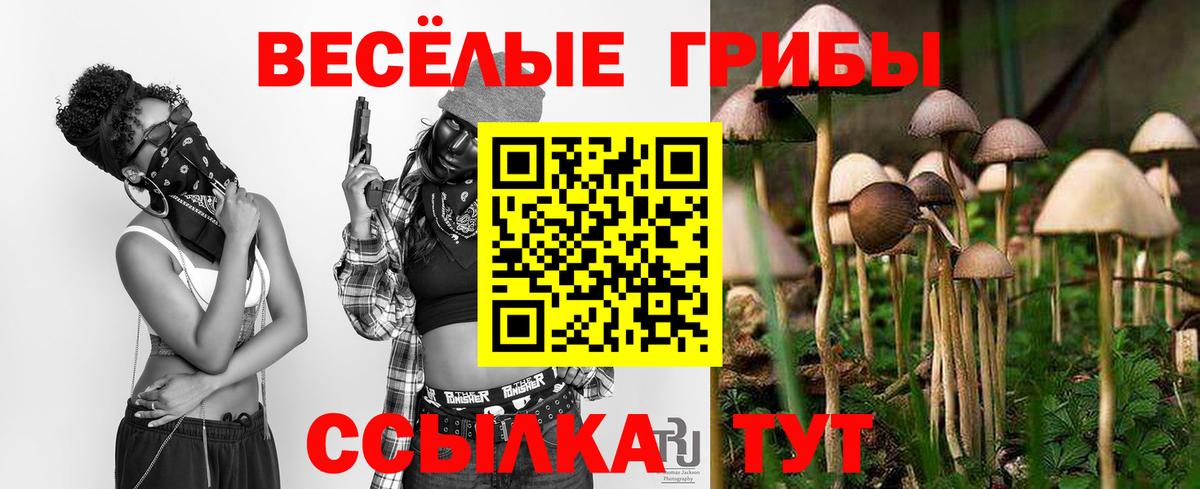 Псилоцибиновые грибы мухоморы  Вход с VPN  цена наркотик  Дедовск 