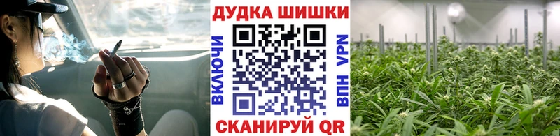 где продают   Дедовск  Канабис планчик 